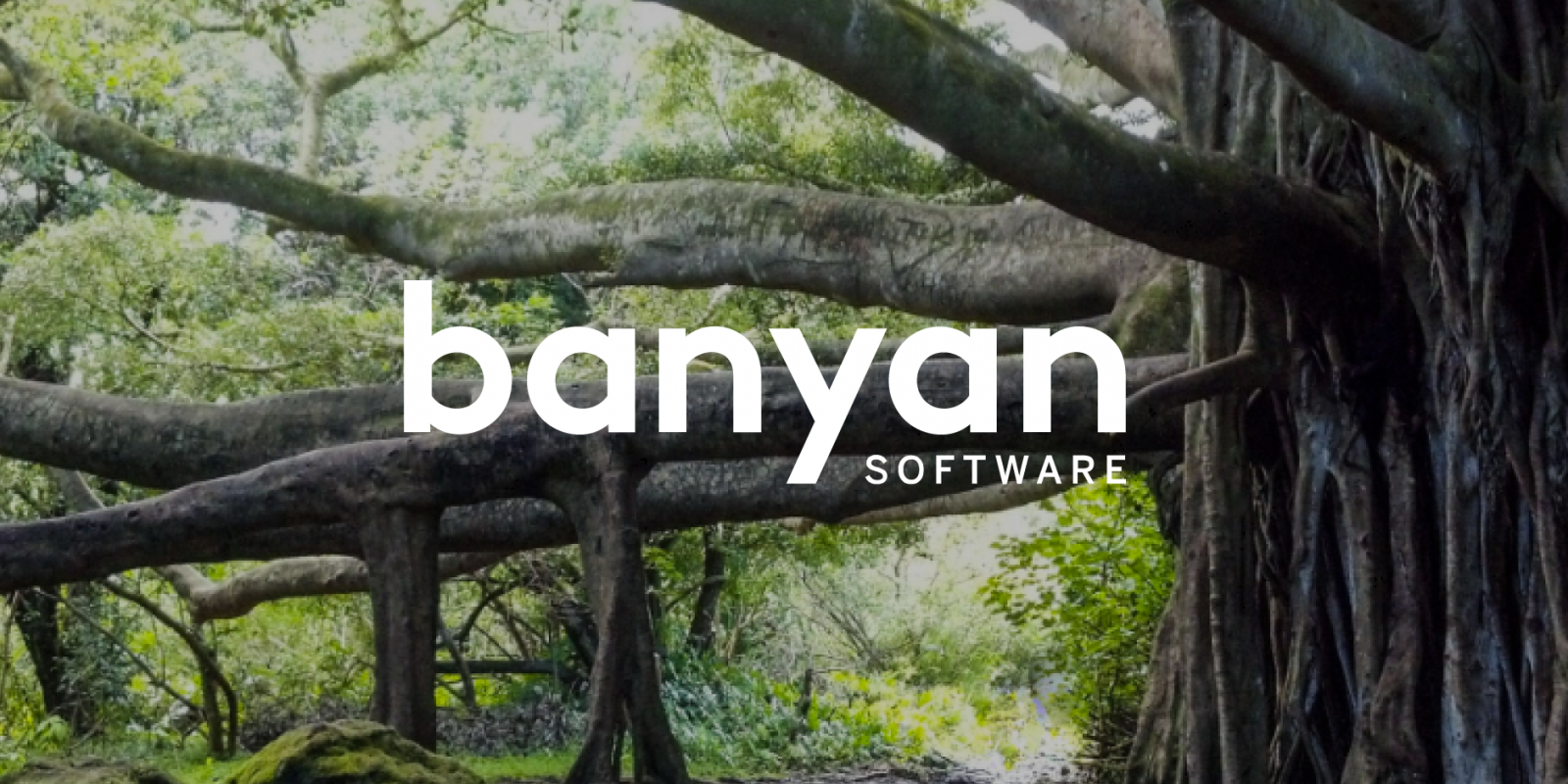 Banyan logo