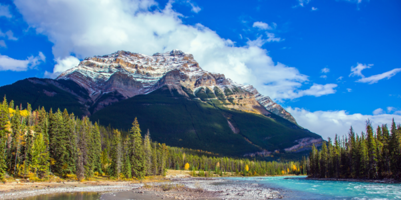 Parks Canada Contact Award