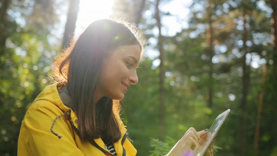 Female park employee looking at tablet in the woods