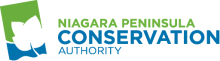 niagara peninsula conservation authorities 
