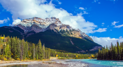 Parks Canada Contact Award